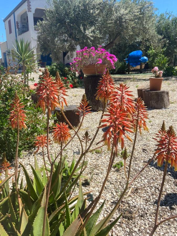 La Casa Di Gioggio Lejlighed Ioppolo Giancaxio Eksteriør billede