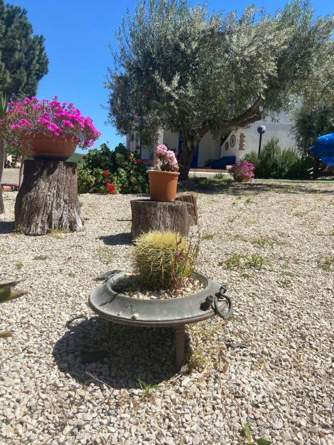 La Casa Di Gioggio Lejlighed Ioppolo Giancaxio Eksteriør billede