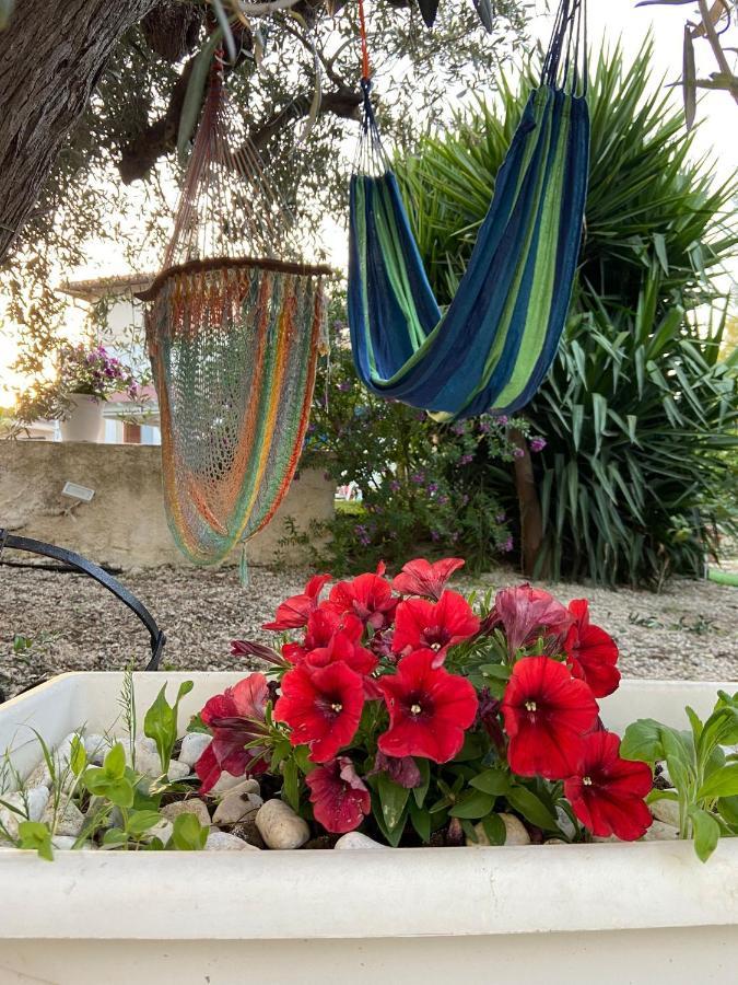 La Casa Di Gioggio Lejlighed Ioppolo Giancaxio Eksteriør billede